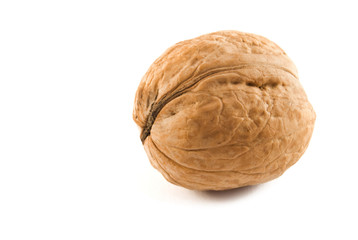 walnut