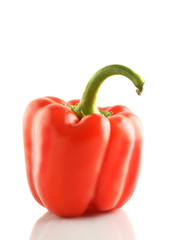 isolated bell pepper paprika