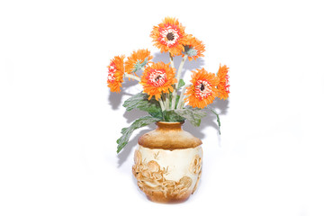 flowers in the pot