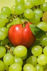 nectarine and grape