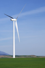 Fototapeta premium windmill