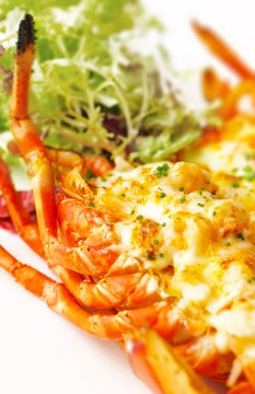 Lobster Thermidor