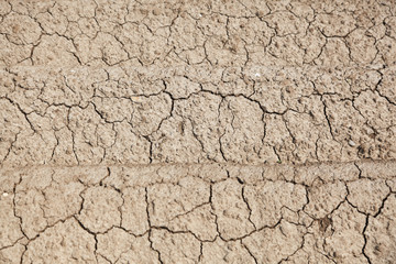 Dry Ground