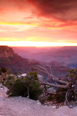 Grand Canyon National Park, USA..