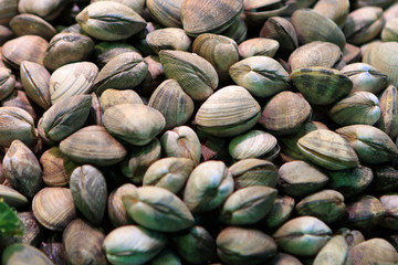 Pistachios on market