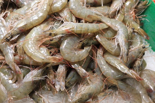 Raw prawn on market
