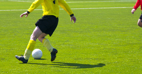 Obraz premium soccer player on the field