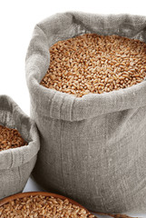 Grain of the wheat in bags and a bowl