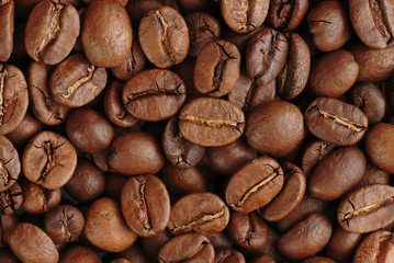 Coffee beans