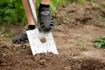 Gardening - man digging over the soil