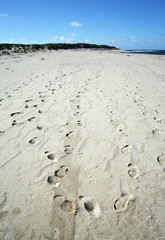 Spuren im Sand