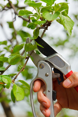 Gardening