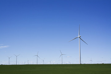 Field of Windmills