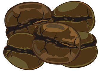 cofee beans vector