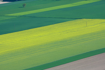 Yellow geen fields Austria