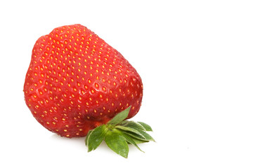 Strawberry Closeup