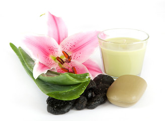 Aloe Vera © thongsee