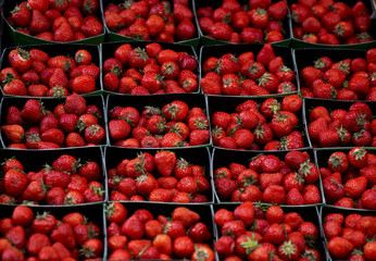 Strawberries