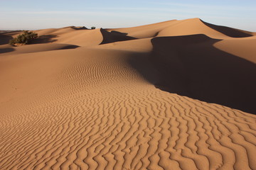 Dunas en Erg Lahniti