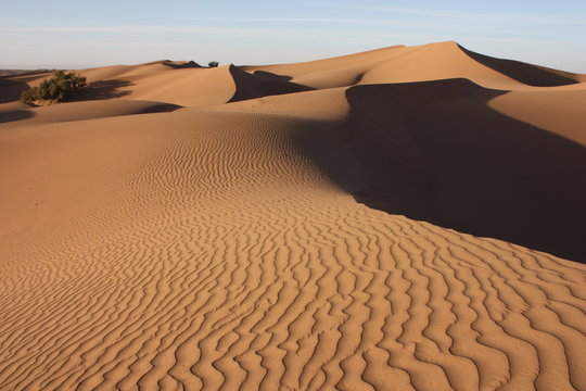 Dunas en Erg Lahniti