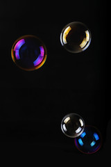 Soap bubbles on black background .