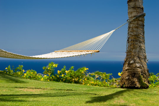 An inviting hammock in an island paradise