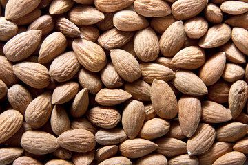 Fototapeta premium Raw Almonds 3
