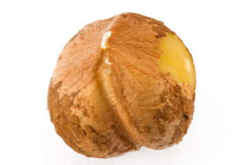 Hazel nuts