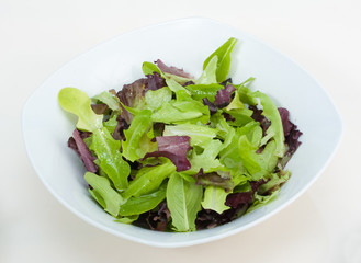 Schüssel mit frischem grünen Salat