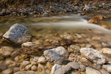 Obraz premium Waterfall with stones