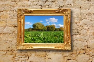 painting in image frame
