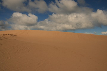Fototapeta na wymiar Dune