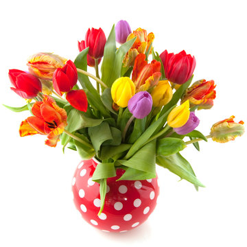 Colorful bouquet tulips