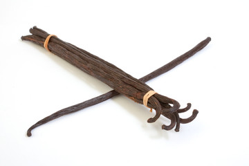 Obraz premium Bourbon vanilla beans from Madagascar