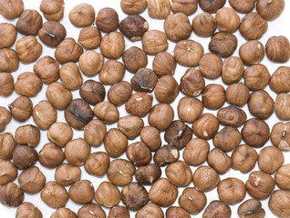 Background from nut. Filbert.