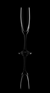 wineglass on black