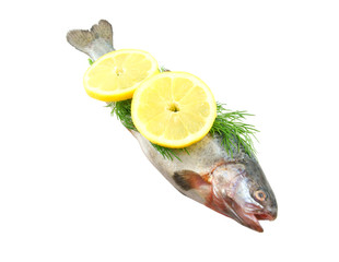 Raw fish with lemon and dill isolated on white background