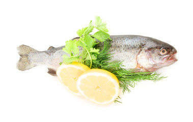 Raw fish with lemon, parsley and dill isolated