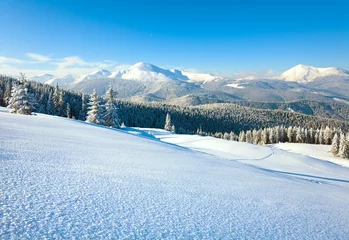 Poster Snowy landscape © wildman