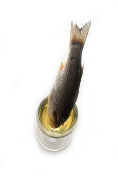 Enogastronomia