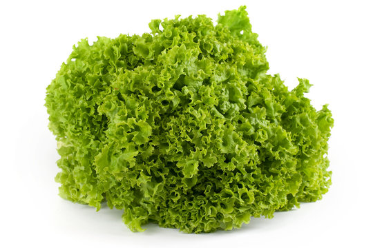 green salad
