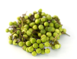 Small green Brinjal, ingredient for Thai food