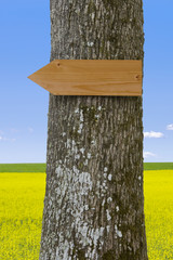 Holzschild am Baum