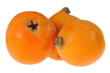 drei freigestellte Mispeln