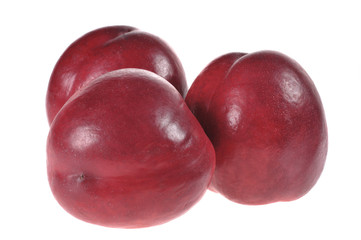 freigestellte Nektarinen