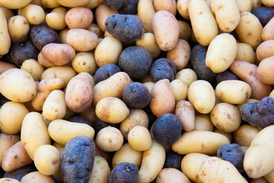 potatoe medley