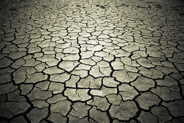 The soil in the fissures