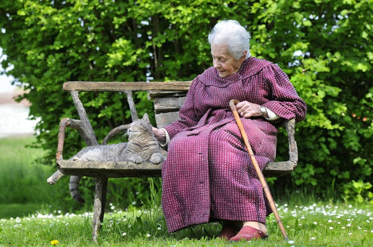 La Vecchietta e il suo Gattino