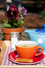 Cup of tea