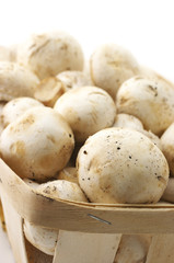 Mushrooms in basket close-up